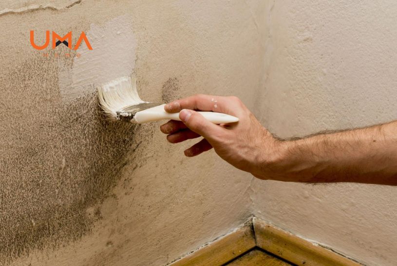 cải tạo phòng ngủ bị ẩm mốc tường